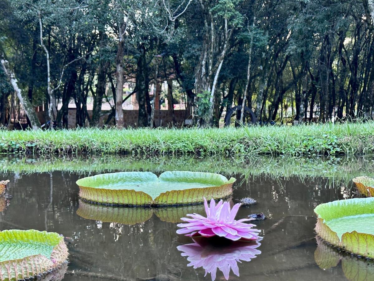 Parque Hotel Manantial Hohenau Kültér fotó