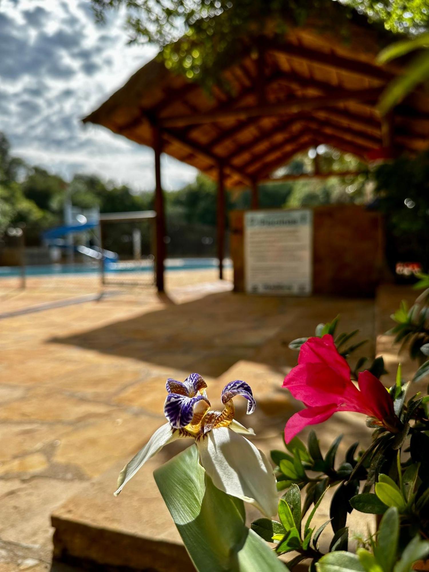 Parque Hotel Manantial Hohenau Kültér fotó