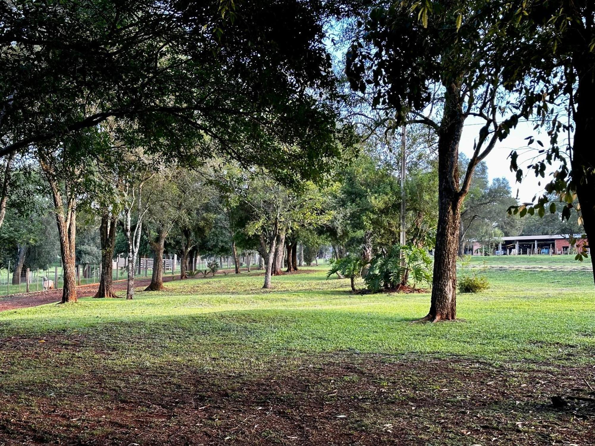Parque Hotel Manantial Hohenau Kültér fotó